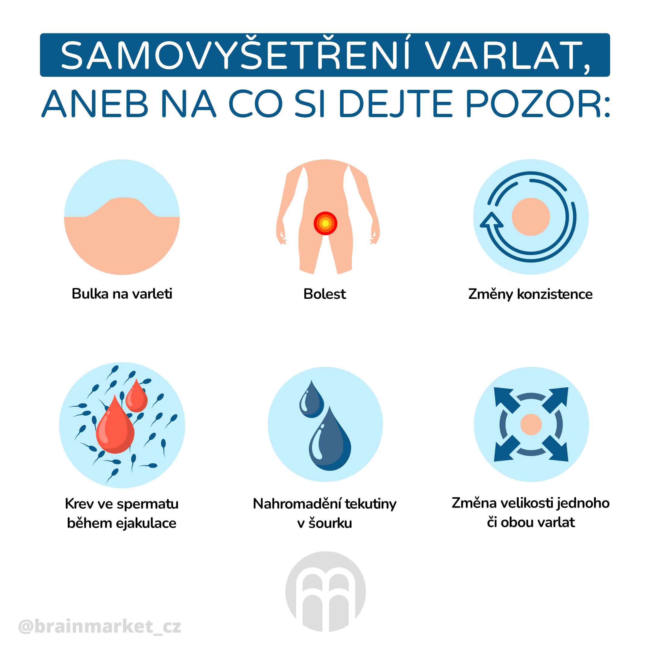 samovysetreni varlat _infografika2_cz